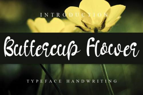 Buttercup Flower Font