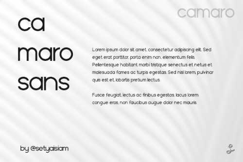 Camaro Sans Serif Font  24