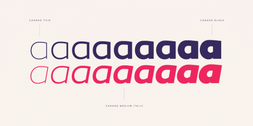 Canaro Font 24