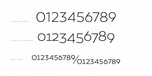 Canaro Font 6