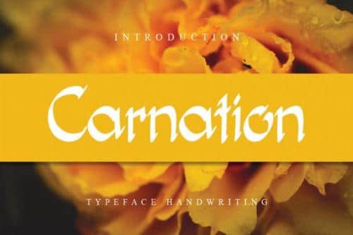Carnation Flower Font