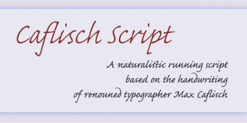 Catfish Script Font