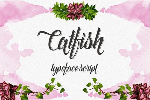 Catfish Script Font 1