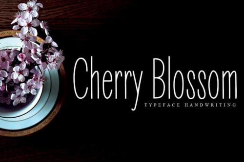 Cherry Blossom Display Font