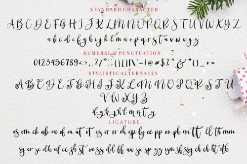 Christmas Blossom Font  10