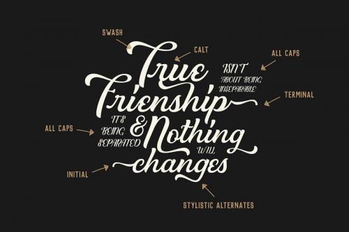 Clarkson Script Font  4