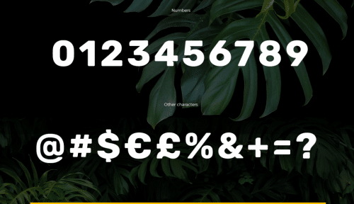 Cunia-Typeface-2