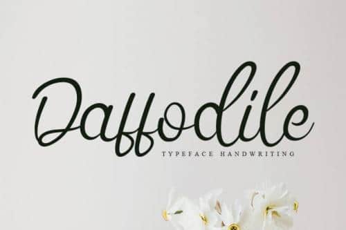 Daffodile Script Font