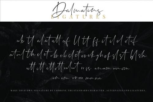 Dalmatins Signature Font  10