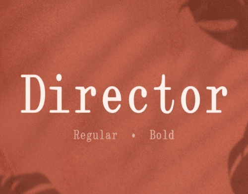 Director-Serif-Font-0