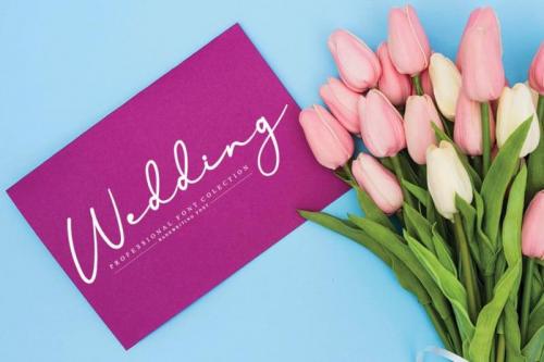 Edelweiss Flower Handwritten Font 2