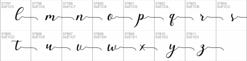 Elizabeth Calligraphy Font 14