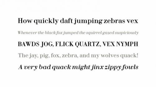 Fin Display Serif Font  1