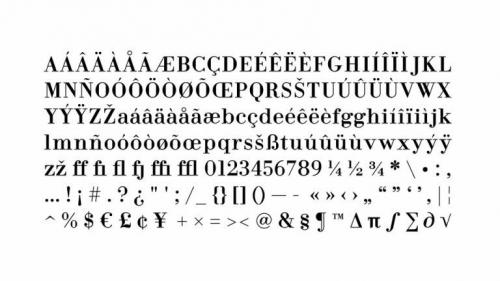 Fin Display Serif Font  2