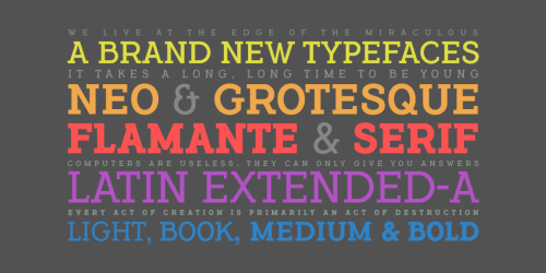 Flamante Serif Fonts  1