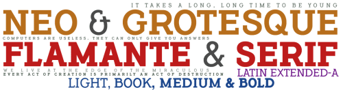 Flamante Serif Fonts  5