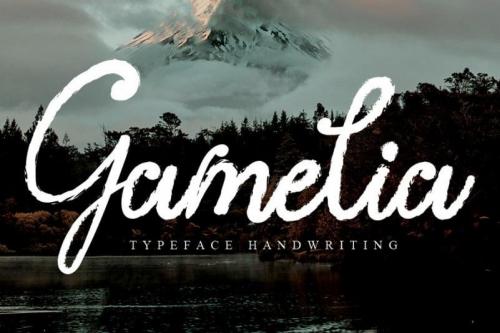 Gamelia Script Font