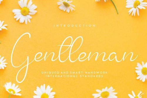 Gentleman Script Font