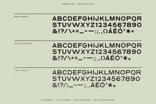 Hamburg Hand Display Font 2