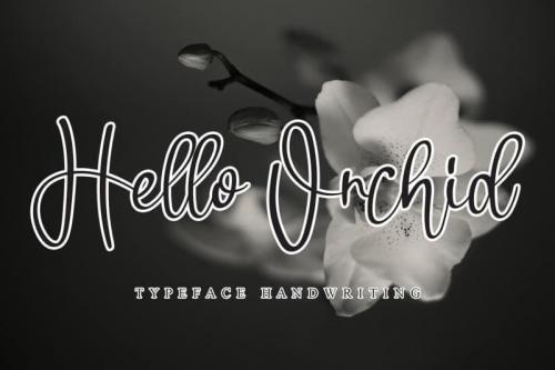 Hello Orchid Handwritten Font