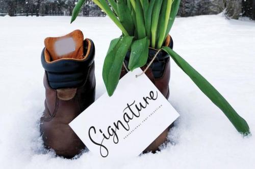 Hello Orchid Handwritten Font 3