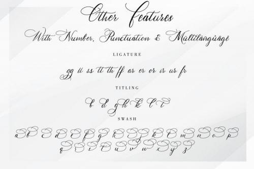 Hertina Calligraphy Font 9