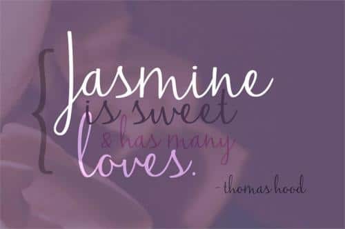 Jasmine Reminiscentse Font Family
