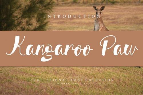 Kangaroo Paw Script Font