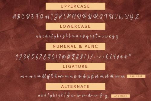 Kinattura Script Font 5
