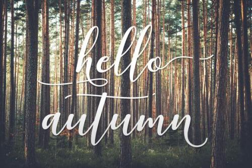 Kissita Script Font