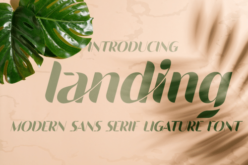 Landing Sans Serif Font