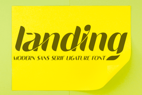 Landing Sans Serif Font  1