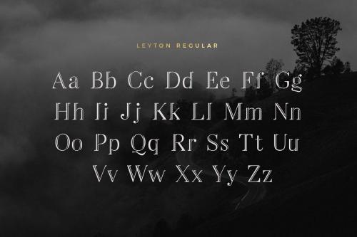 Leyton Typeface 3