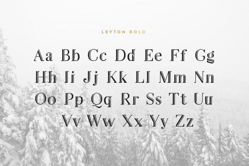 Leyton Typeface 4