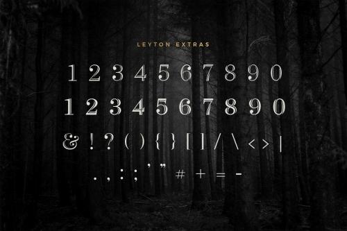 Leyton Typeface 5