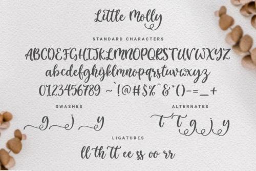 Little Molly Script Font  1