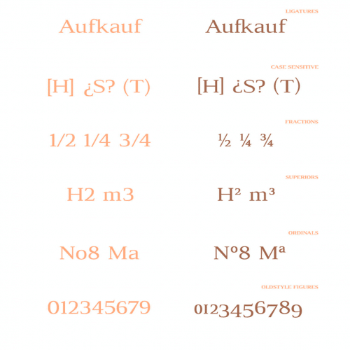 Luthier-Font--09