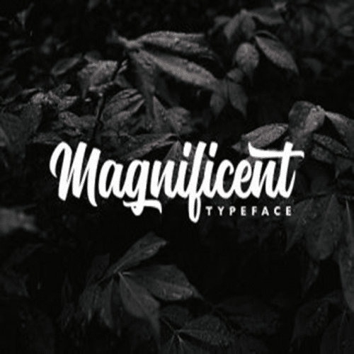 Magnificent-Script-Font--0