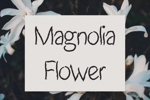 Magnolia Flower Script Font