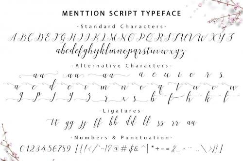 Menttion Script Font  3