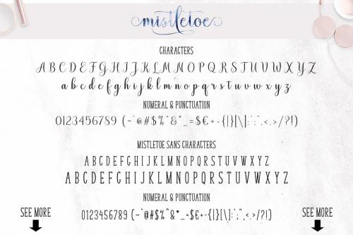 Mistletoe Script Font 11