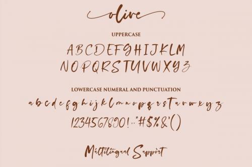 Olive Script Font 13