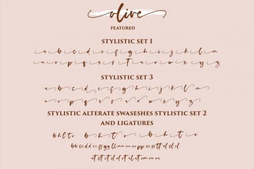 Olive Script Font 14