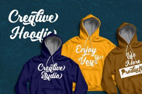 Partner Script Font 4
