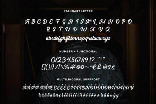 Partner Script Font 7