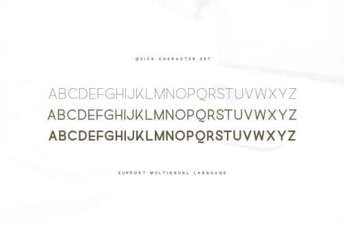 Quick Font Family 3