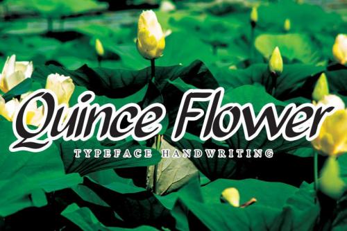Quince Flower Brush Font