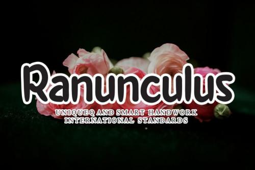 Ranunculus Flower Handwritten Font