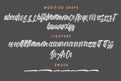 Riverside Script Font 11