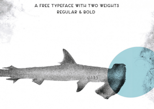 Salt-Typeface--21